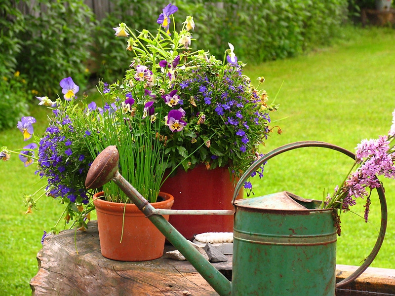 Gartenidylle