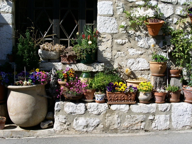 Auch ohne Garten kann man gärtnern