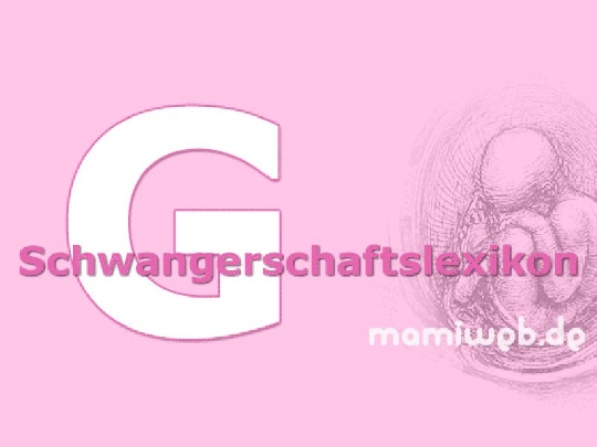 schwangerschaftslexikon-g