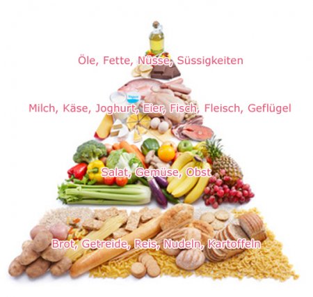 Deutsche Gesellschaft für Ernährung
