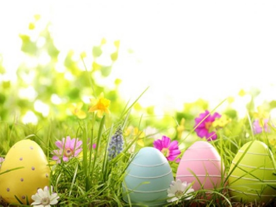 Ostern ist nicht überall gleich osterbraeuche-eier-auf-der-wiese