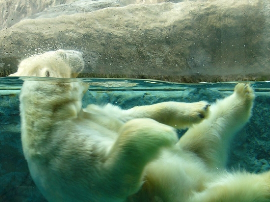 Spaß im Zoo zoobesuch-mit-kindern