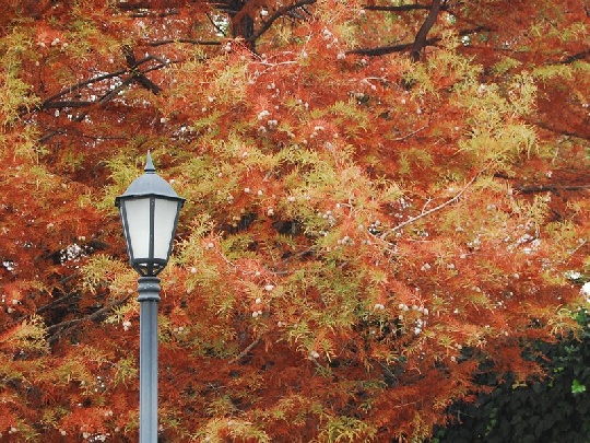 Die Herbszeit kann auch gemütlich sein herbstwetter
