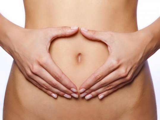 Die weiblichen Geschlechtsorgane uterus