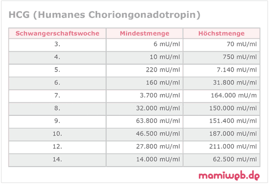 mamiweb.de