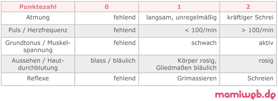 fortschritte der chemie organischer naturstoffe