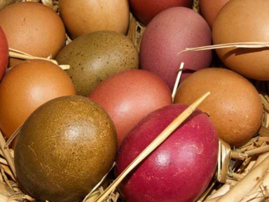 Mit Tee und Co. Ostereier auf natürliche Weise färben ostereier-natuerlich-faerben