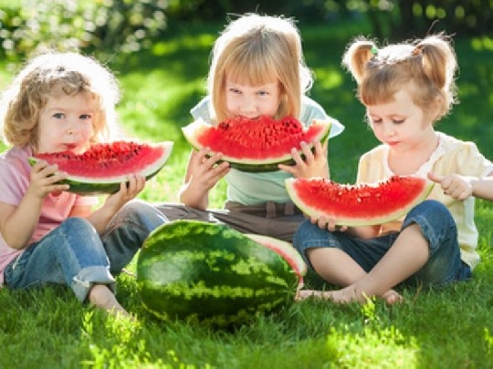 Essen im Freien macht einfach Spaß! kinder-picknick