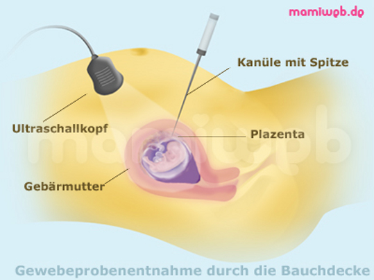 mamiweb.de