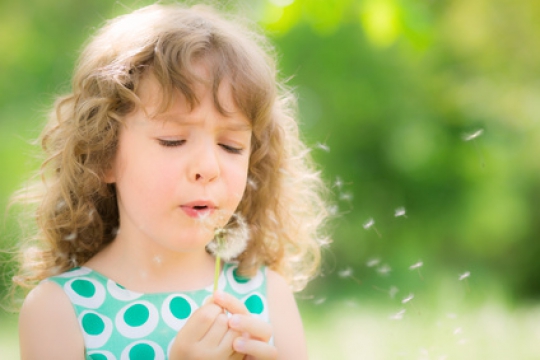 Allergien vermiesen so manchen Tag im Freien. allergie