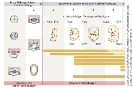 Schäfer, Spielmann, Vetter, Elsevier GmbH