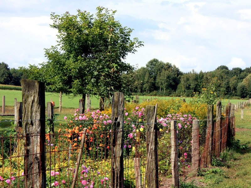 bauerngarten