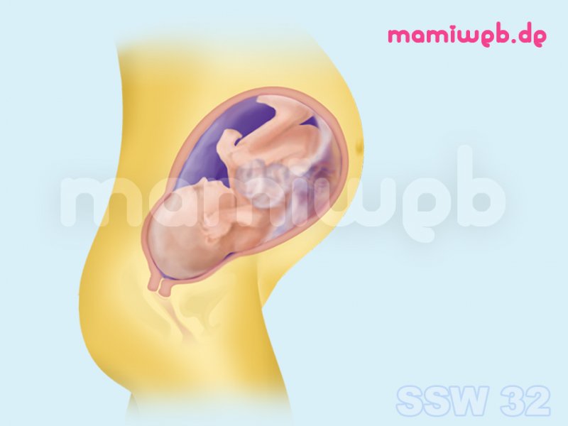 8-schwangerschaftsmonat