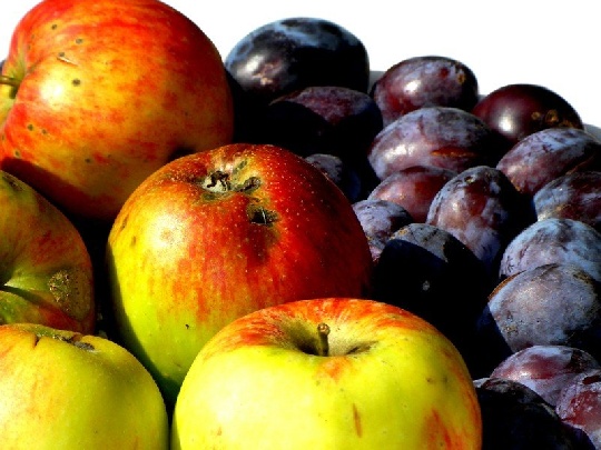 Obst bleibt beim Einfrieren nährstoffreich obst