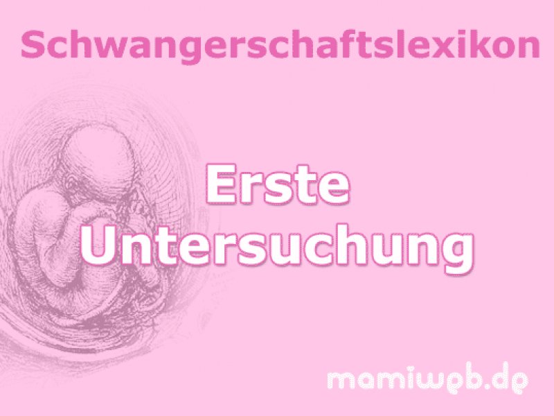 erste-untersuchung