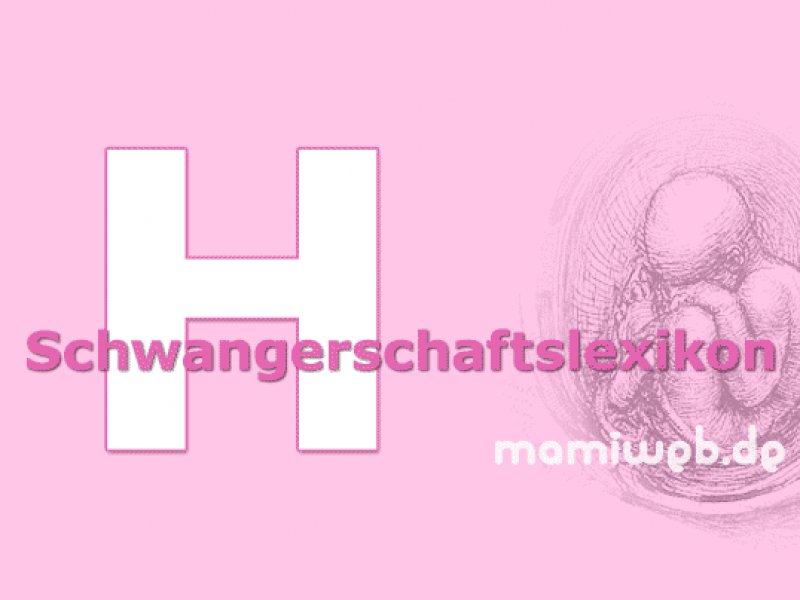 mamiweb-schwangerschaftslexikon-h