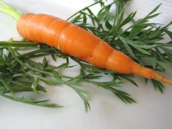 Beta-Carotin in der Schwangerschaft