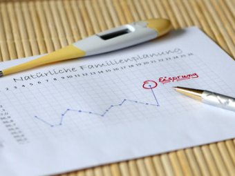 Fruchtbare Tage erkennen