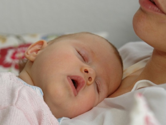 HA-Nahrung für das Baby ha-nahrung