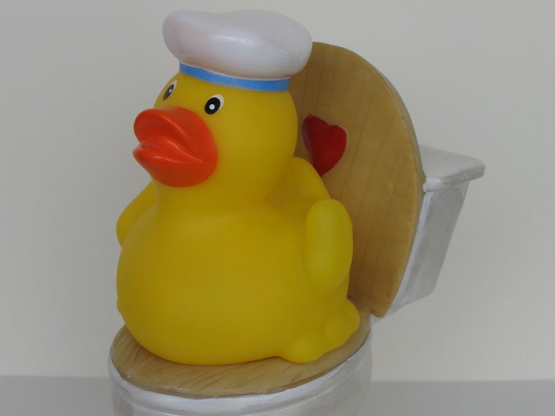Töpfchen oder Toilette?
