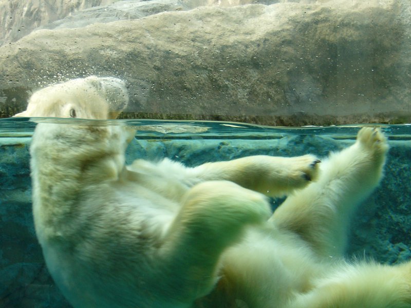 zoobesuch-mit-kindern