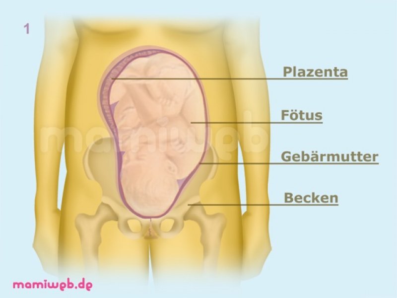 schaedelllage-sternengucker