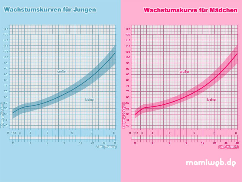 wachstumskurven-jungen-und-maedchen