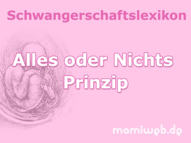 alles-oder-nichts-prinzip