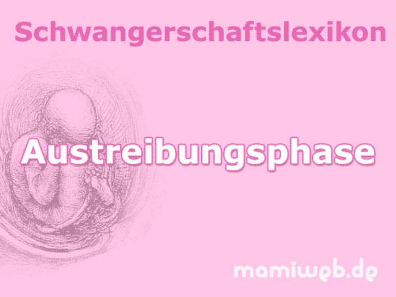 austreibungsphase