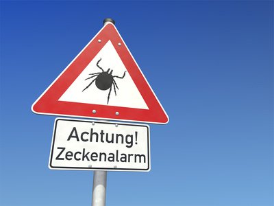 zeckenbiss