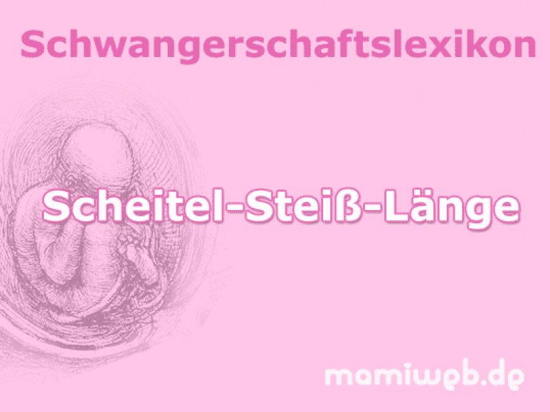 scheitel-steiss-laenge