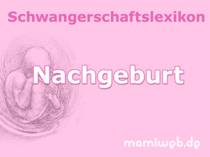 nachgeburt