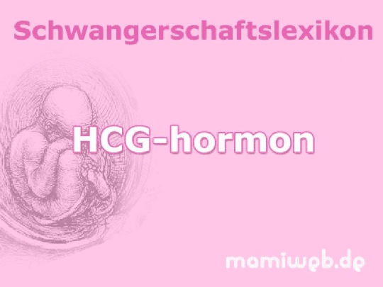 hcg-hormon
