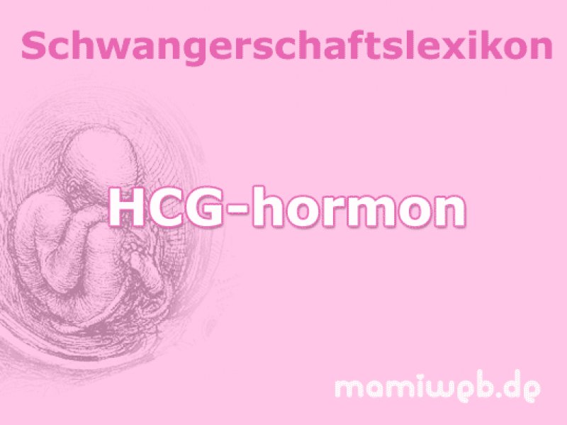 hcg-hormon