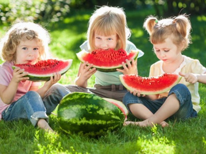 kinder-picknick