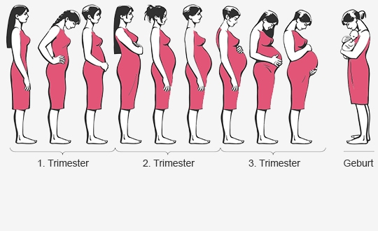 Schwangerschaftswochen Mamiwebde