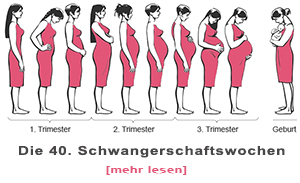 Schwangerschaftswochen